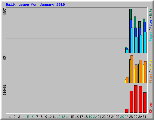 Daily usage for January 2019