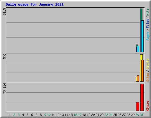 Daily usage for January 2021