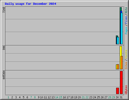 Daily usage for December 2024