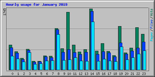 Hourly usage for January 2019