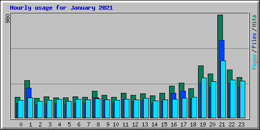 Hourly usage for January 2021