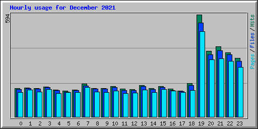 Hourly usage for December 2021