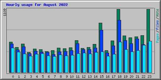 Hourly usage for August 2022