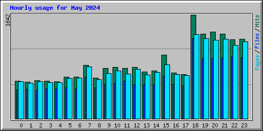 Hourly usage for May 2024