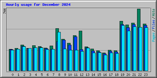 Hourly usage for December 2024
